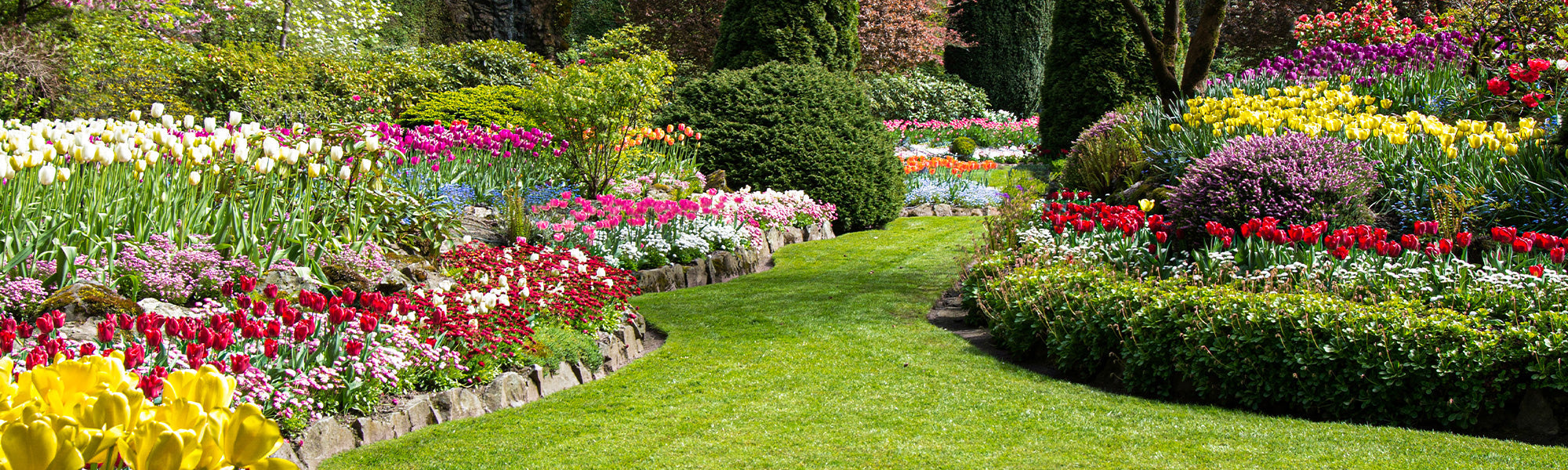 Ein blühender Garten von Januar bis Mai: bis zu -30%