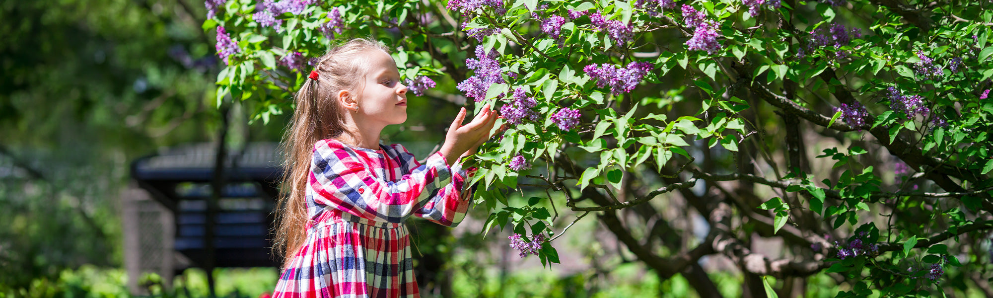 Im Fokus: Sinnesgarten
