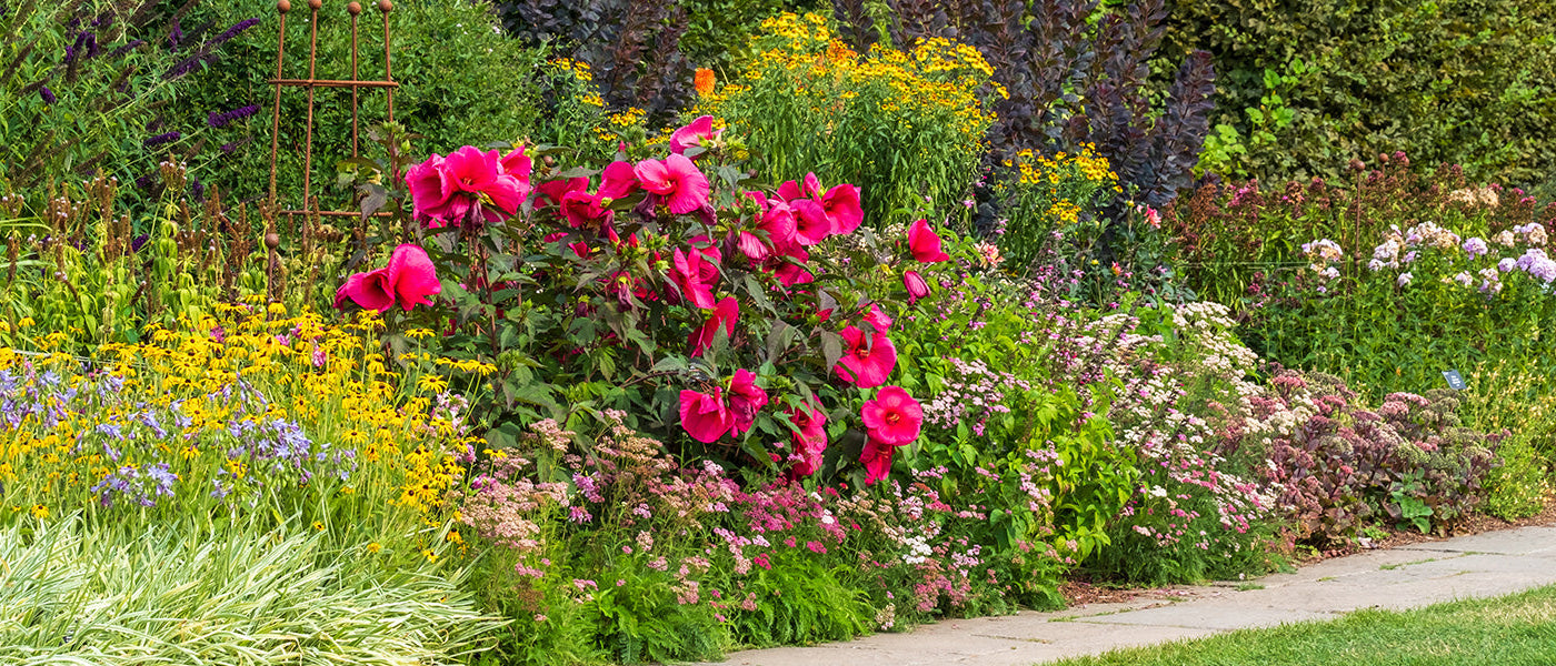 Ideen fürs Blumenbeet: bis zu 25%