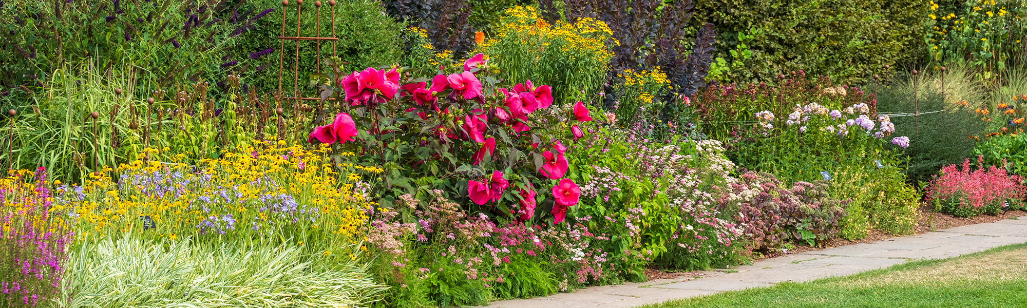 Ideen fürs Blumenbeet: bis zu 25%