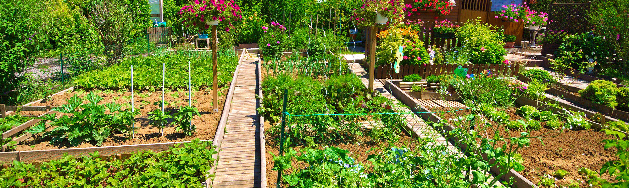 Startschuss für den Gemüsegarten