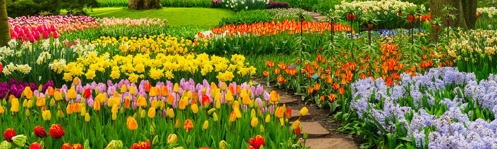 Ein bunter Frühling: bis zu 30 %!