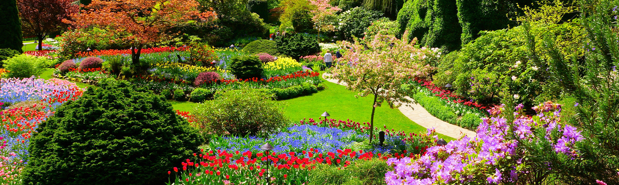 Winterschlussverkauf bis zu 60%!