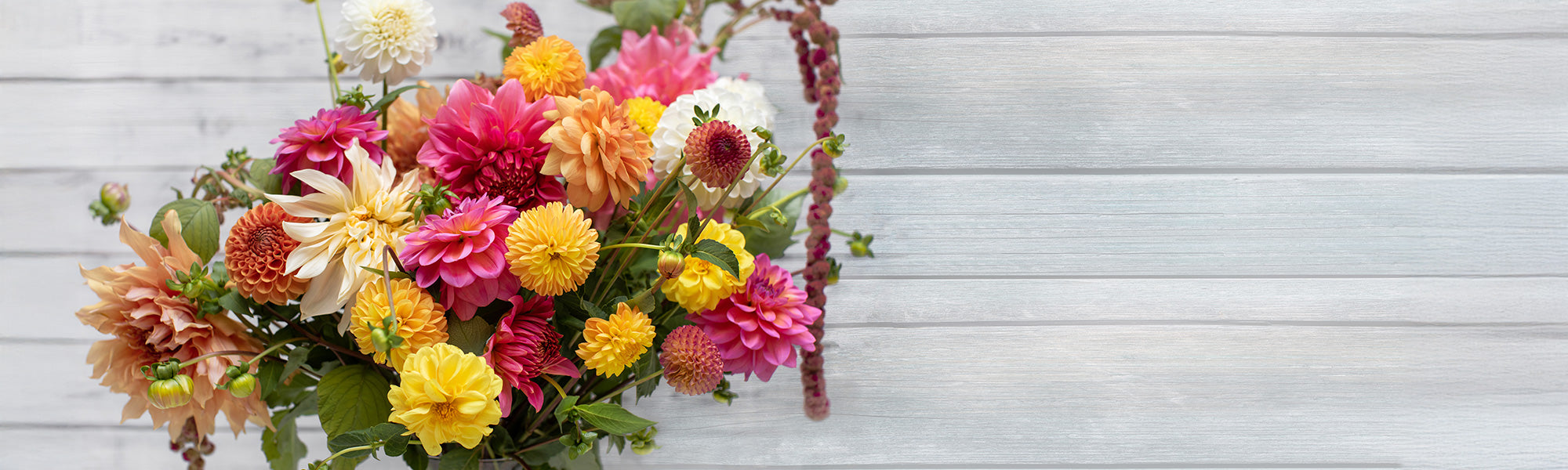 Blütenzauber für Straußliebhaber