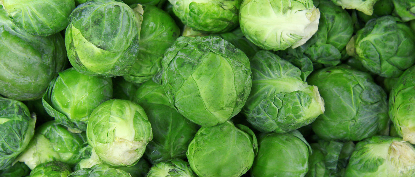 Rosenkohl