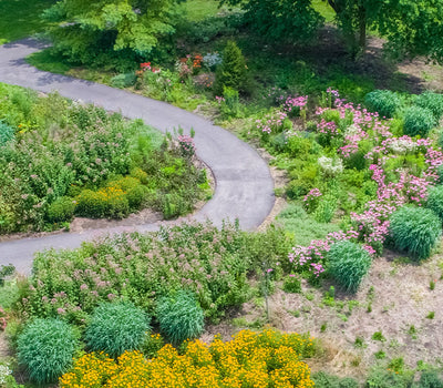 Garten: Die Lösung finden
