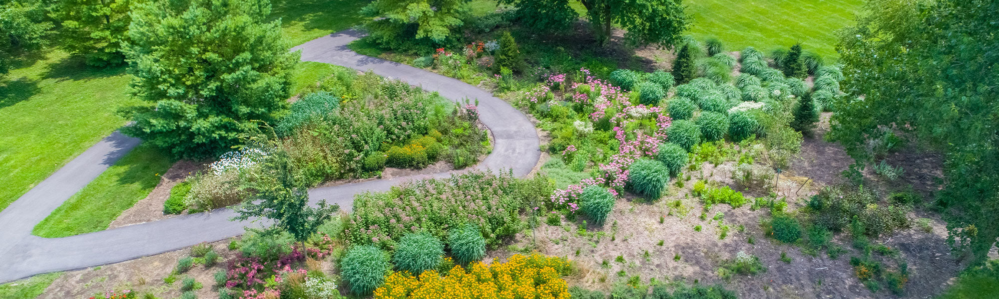 Garten: Die Lösung finden