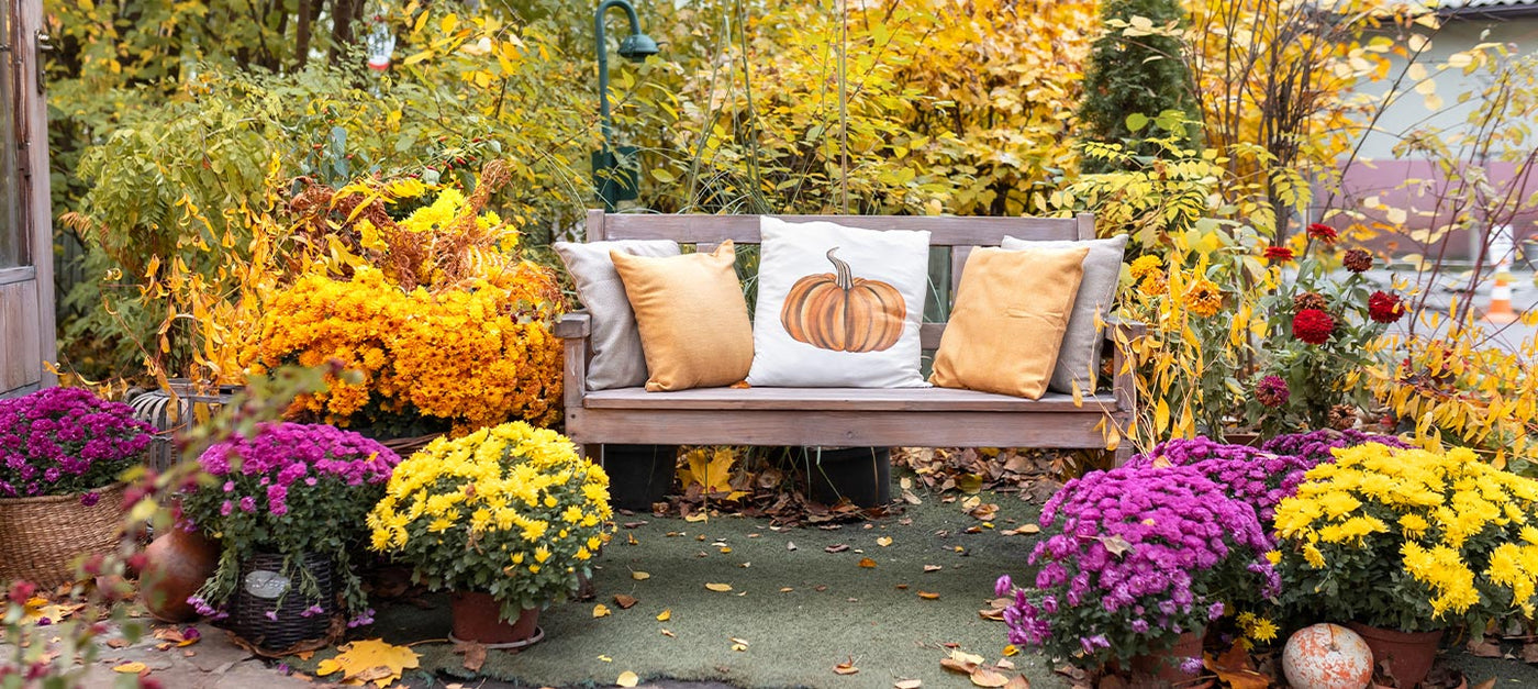 Herbstblühender Garten