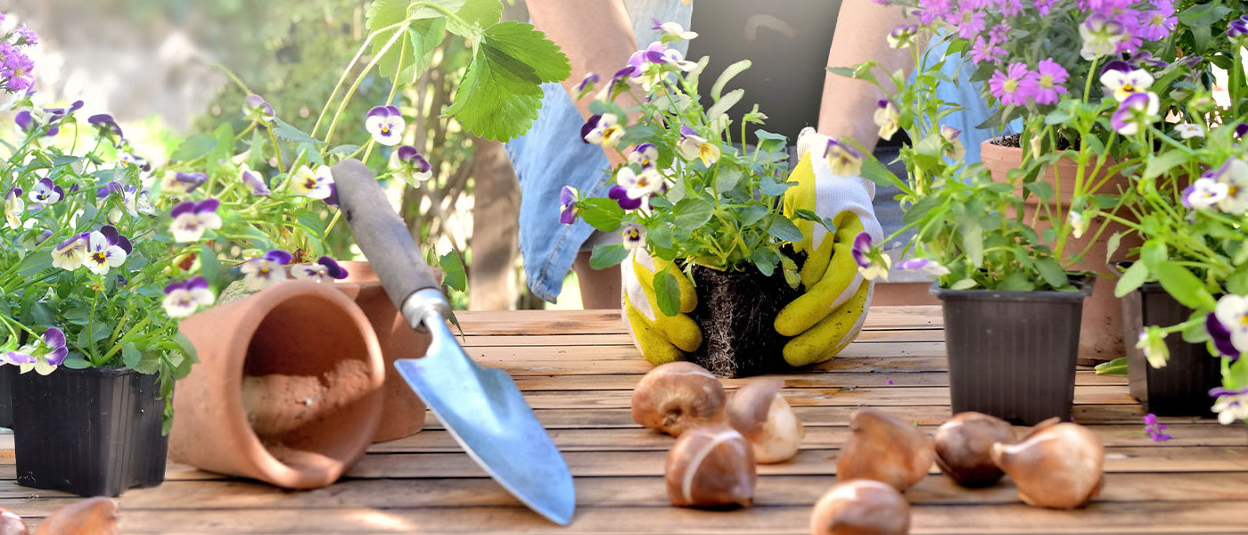 Blühender Garten im Wandel der Jahreszeiten