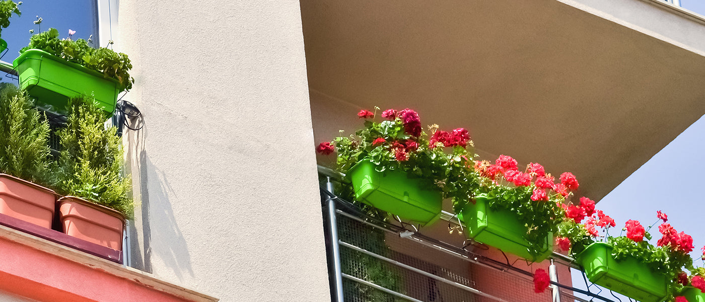 Der Balkon