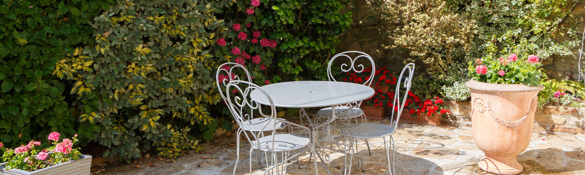 Blühpflanzen für die Terrasse