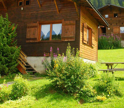 Pflanzen für Bergklima