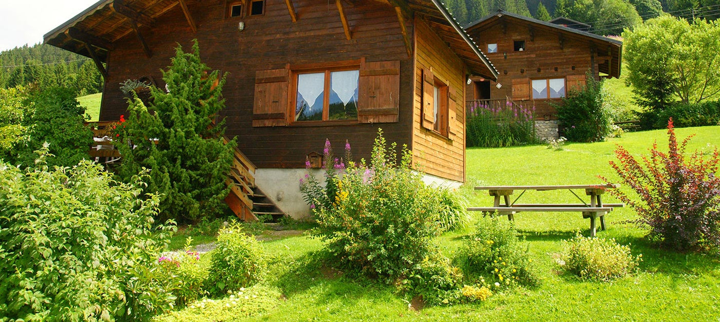 Pflanzen für Bergklima