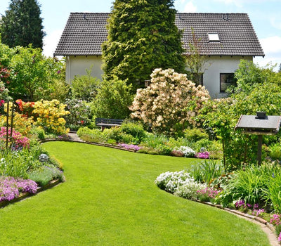 Pflanzen für einen gemäßigten Garten