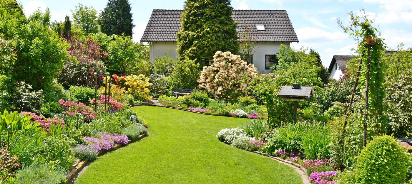 Pflanzen für einen gemäßigten Garten