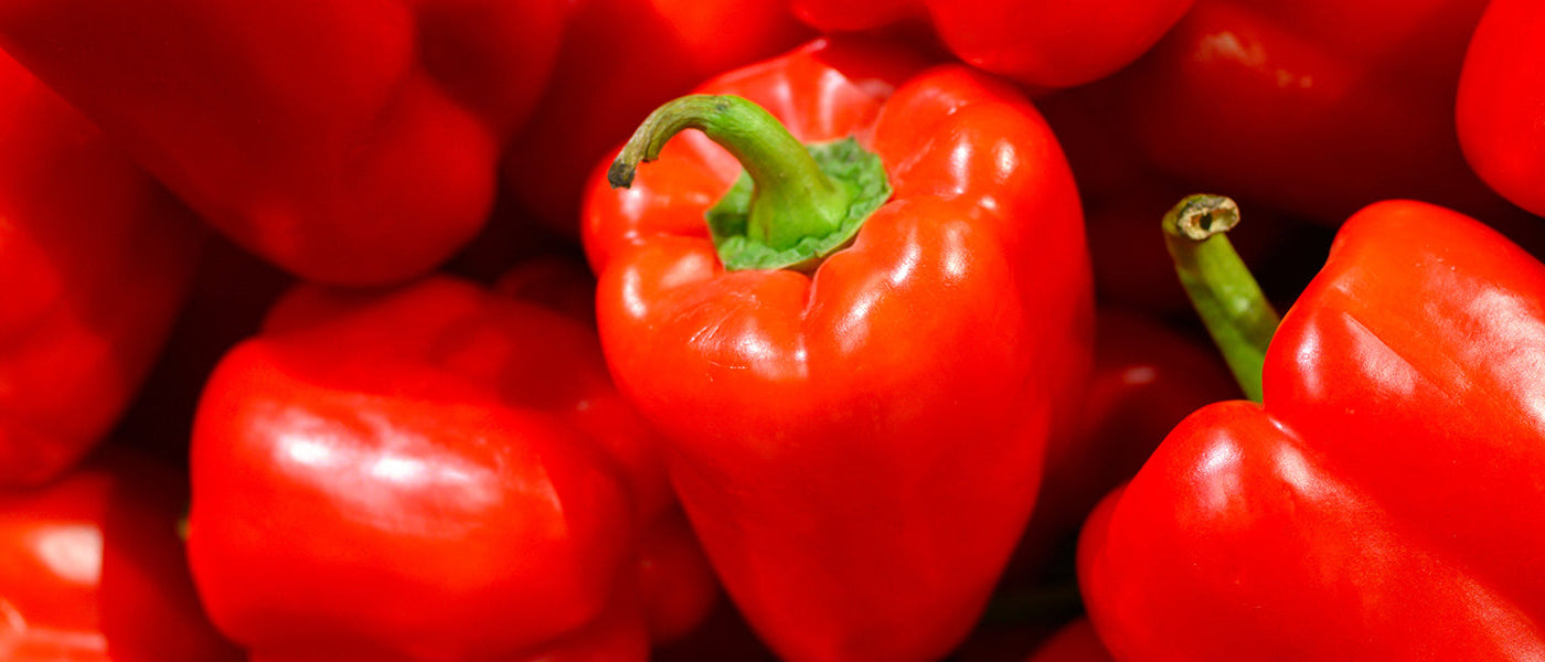 Pflanzen von Paprika und Chili