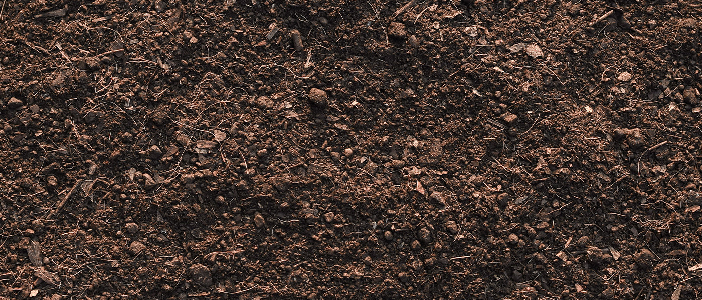 Erde, Mulch und Drainage