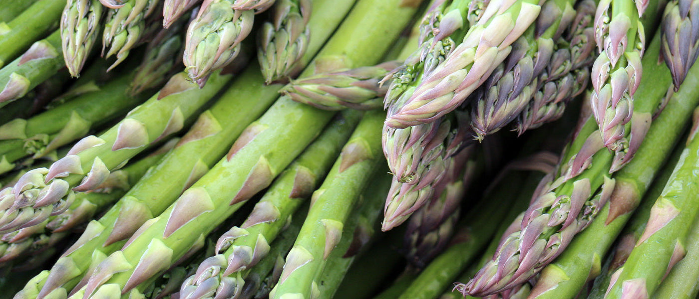 Asperges me