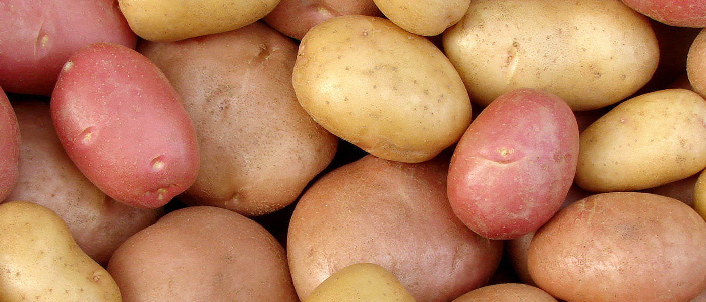 Bio-Kartoffelträume