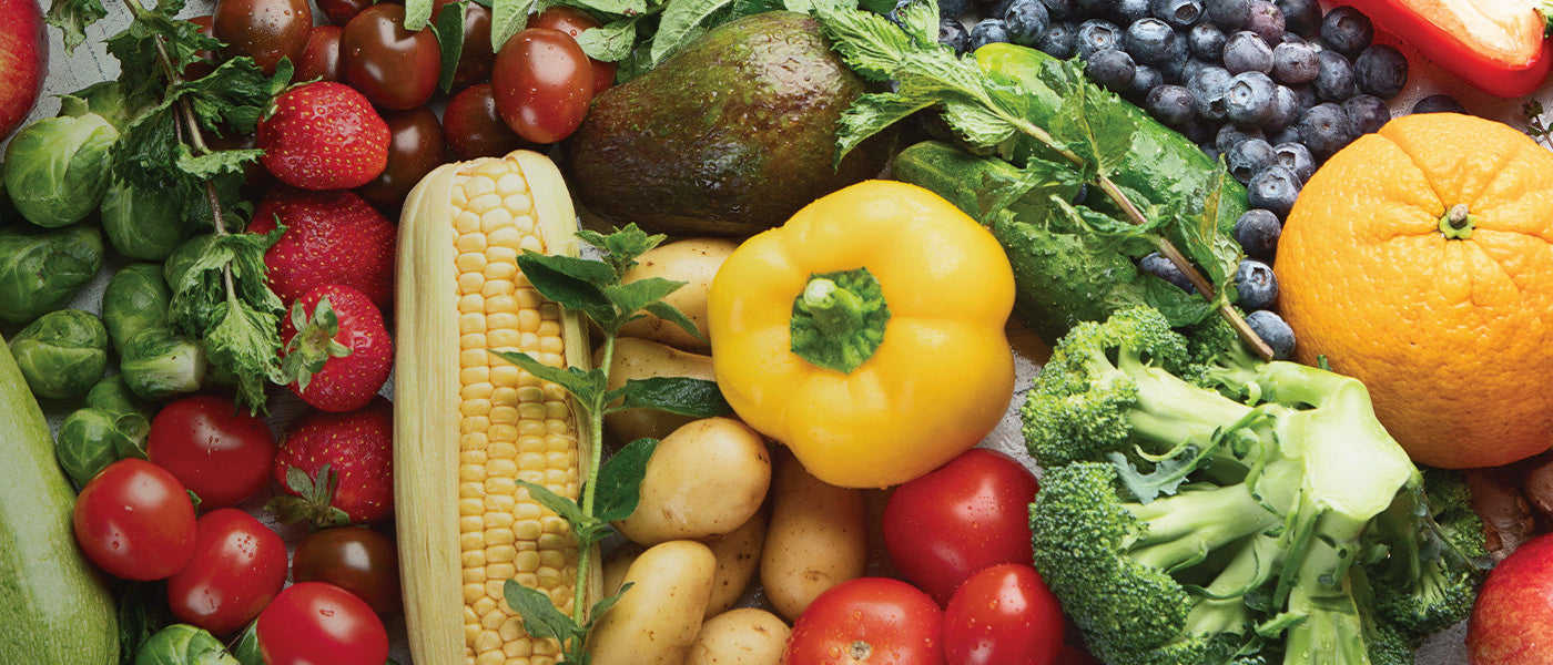 Ajowan-Kümmel - Carum ajowan