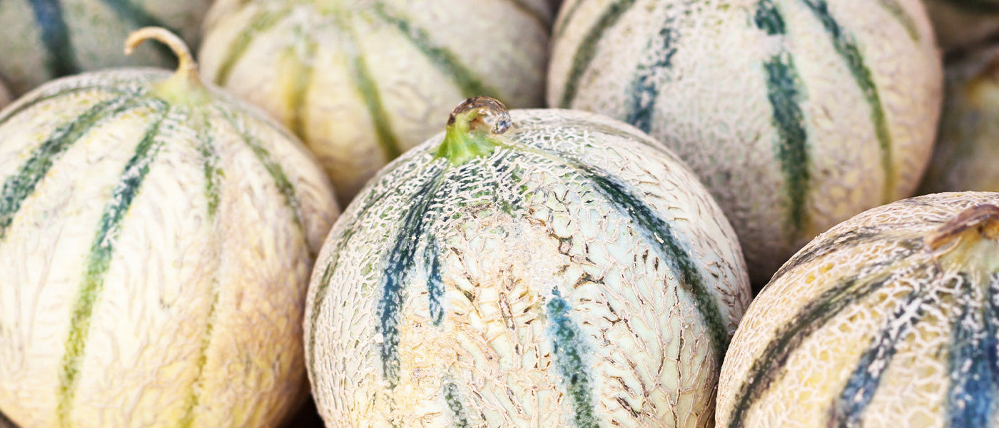 Melonen
