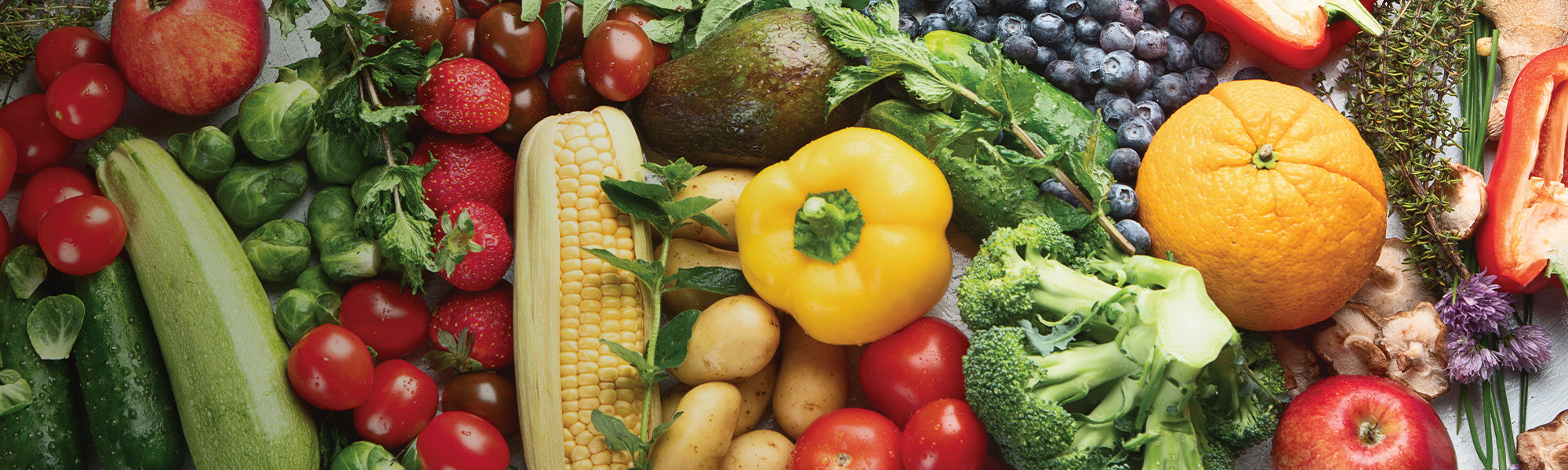 Bio-Samen für Obst und Gemüse