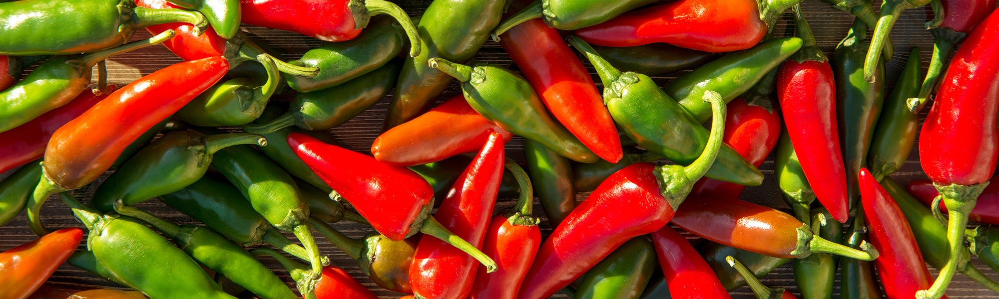 Strauchpfeffer - Capsicum frutescens