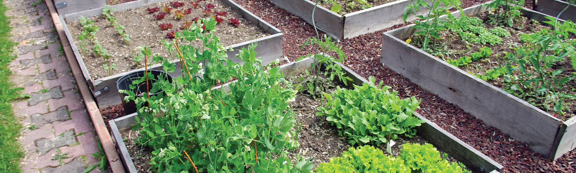 Gemüsegärten, Gewächshäuser und Gartenaccessoires