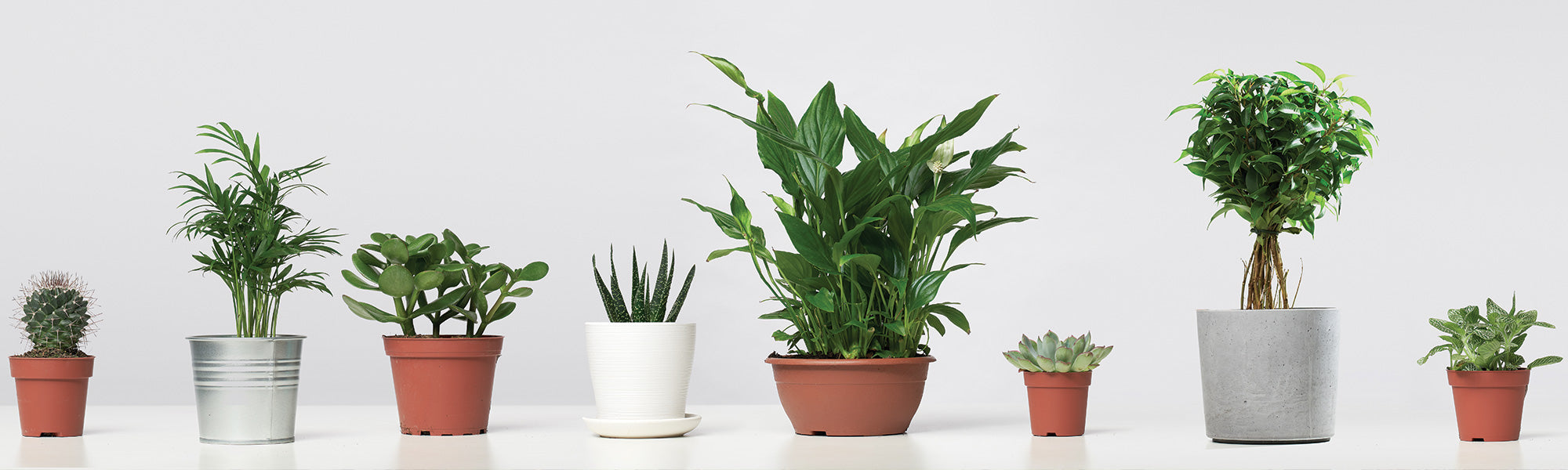 Töpfe und Gefäße für Ihre Pflanzen