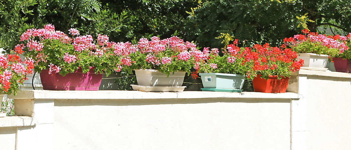 Blumenkästen und Balkonkästen