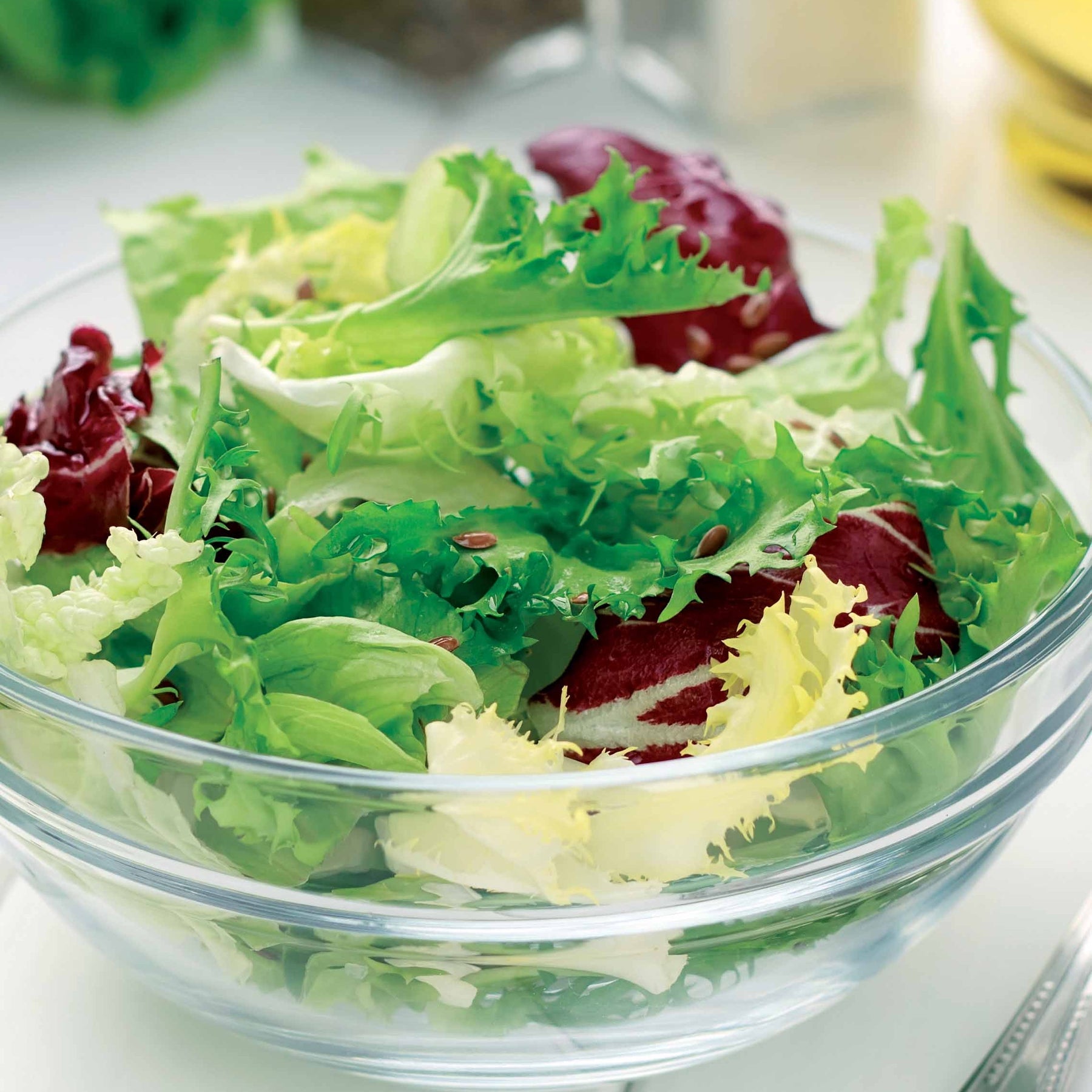 Mesclun-Salatmischung - Willemse