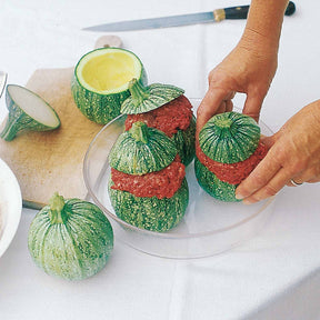 Samen für Zucchini - Zucchini De Nice a fruit rond - Cucurbita pepo de nice à fruits ronds