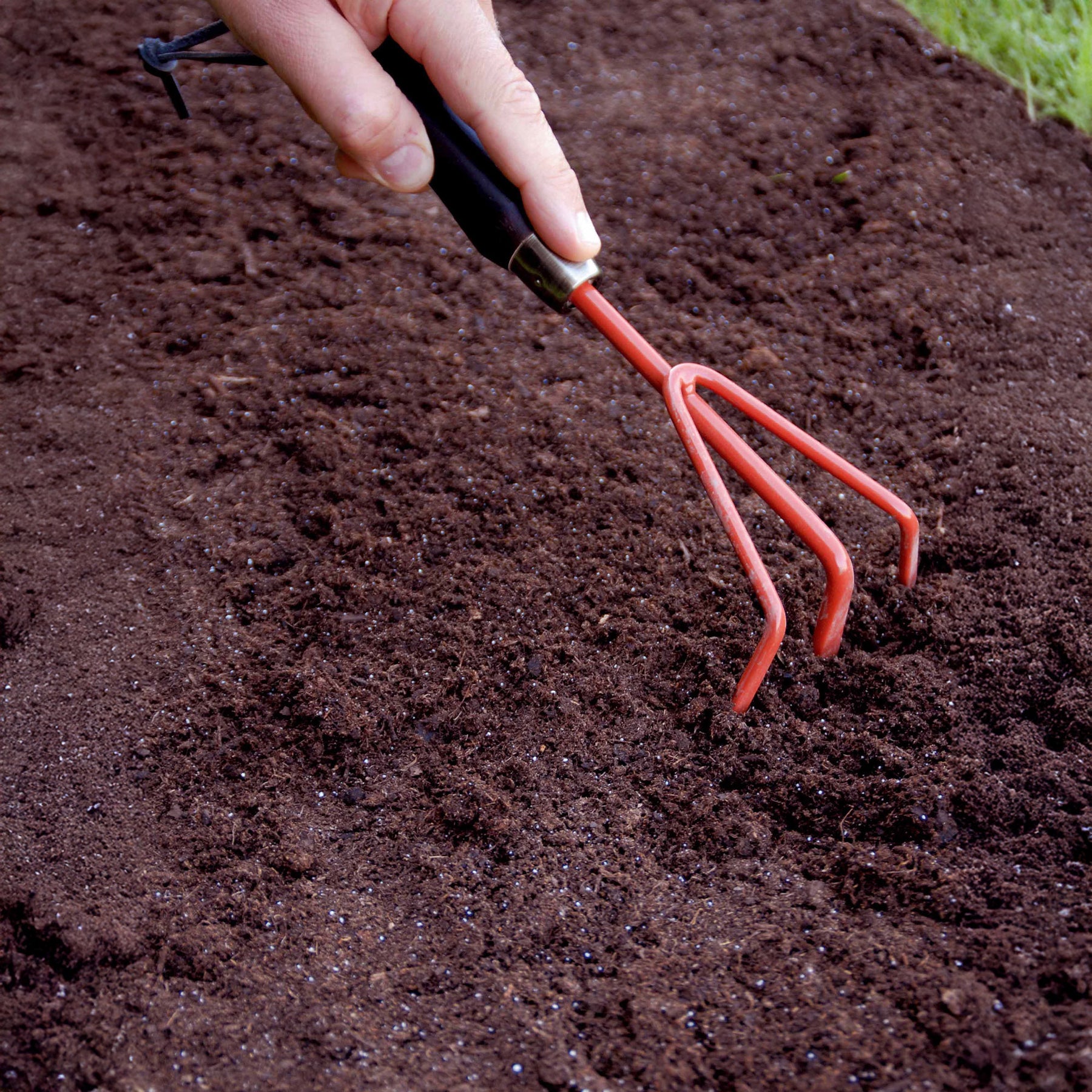 Blumenbeet Saatteppich -  - Willemse