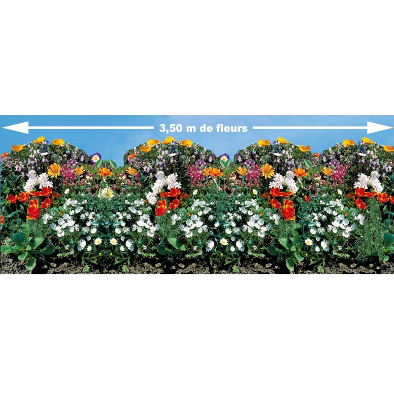 Blumenbeet Saatteppich - Willemse