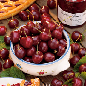 Kirschbaum Bigarreau Van - Willemse