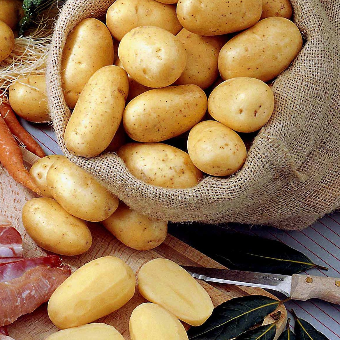 Kartoffel Bernadette BIO (x25) - Willemse