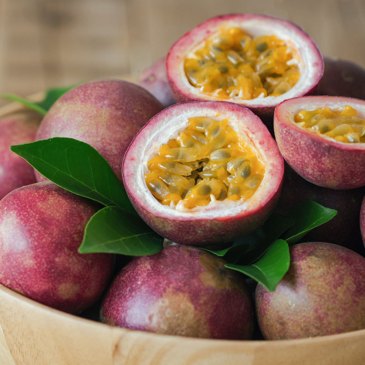 Passionsfrucht Frederick - Passiflora edulis frederick