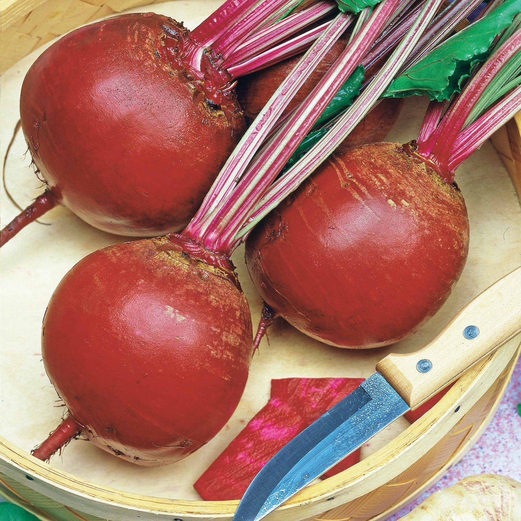 Rote Bete ‘Detroit 5 – Loki’ - Beta vulgaris rouge de détroit 5 race loki(25 g) - Willemse