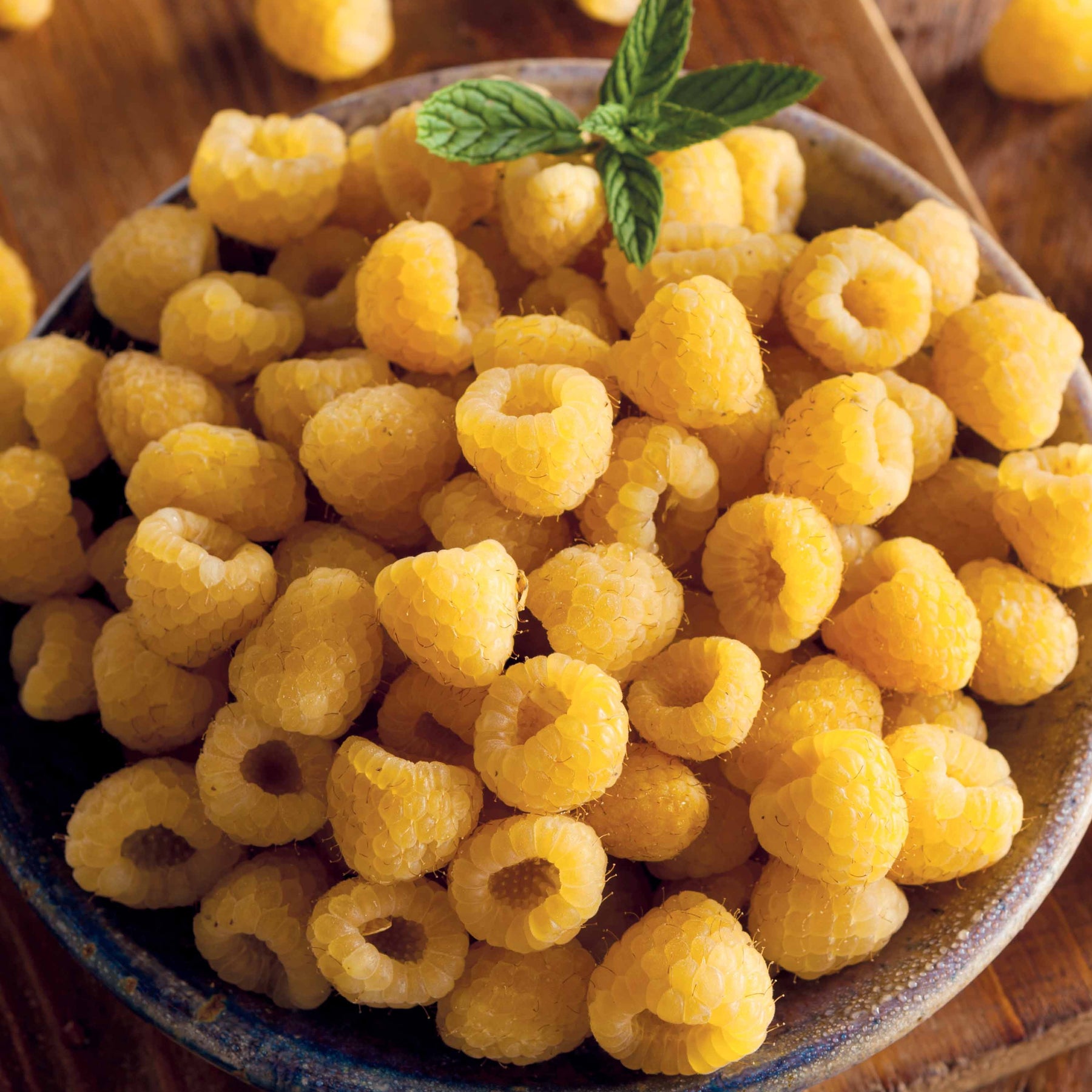 Verkauf Himbeeren Fallgold