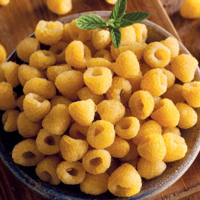 Verkauf Himbeeren Fallgold