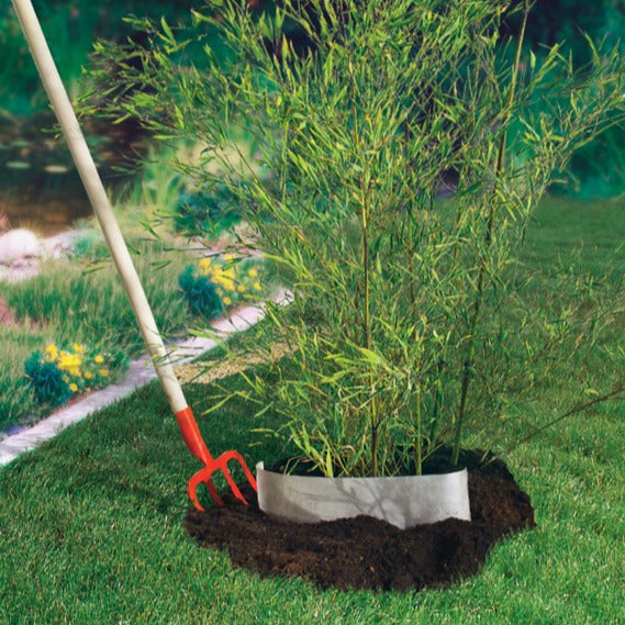 Rhizomsperre - Wurzelstopp -  - Willemse