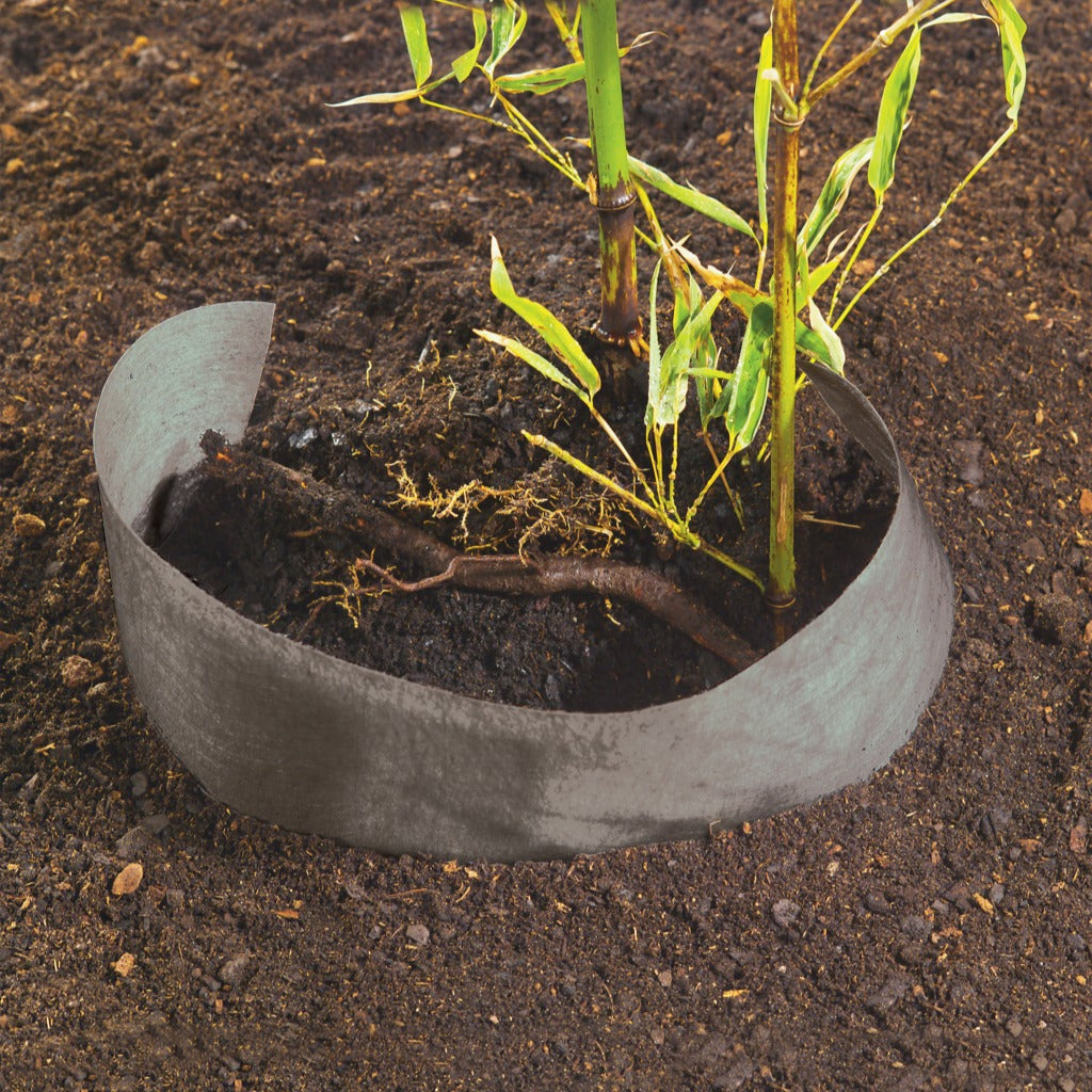 Rhizomsperre - Wurzelstopp - Willemse