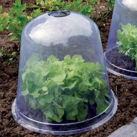 Set mit 3 verfrühungsgloken -  - Willemse