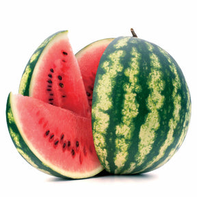 Verkauf Wassermelone Citrullus 'Crimson Sweet' - Citrullus lanatus Crimson Sweet