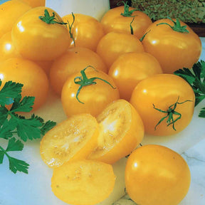 Tomatenpaket 'Tolle Tomaten' Solanum - Gemüsesamen - Solanum lycopersicum cocktail raisins jaunes - Gemüsesaat