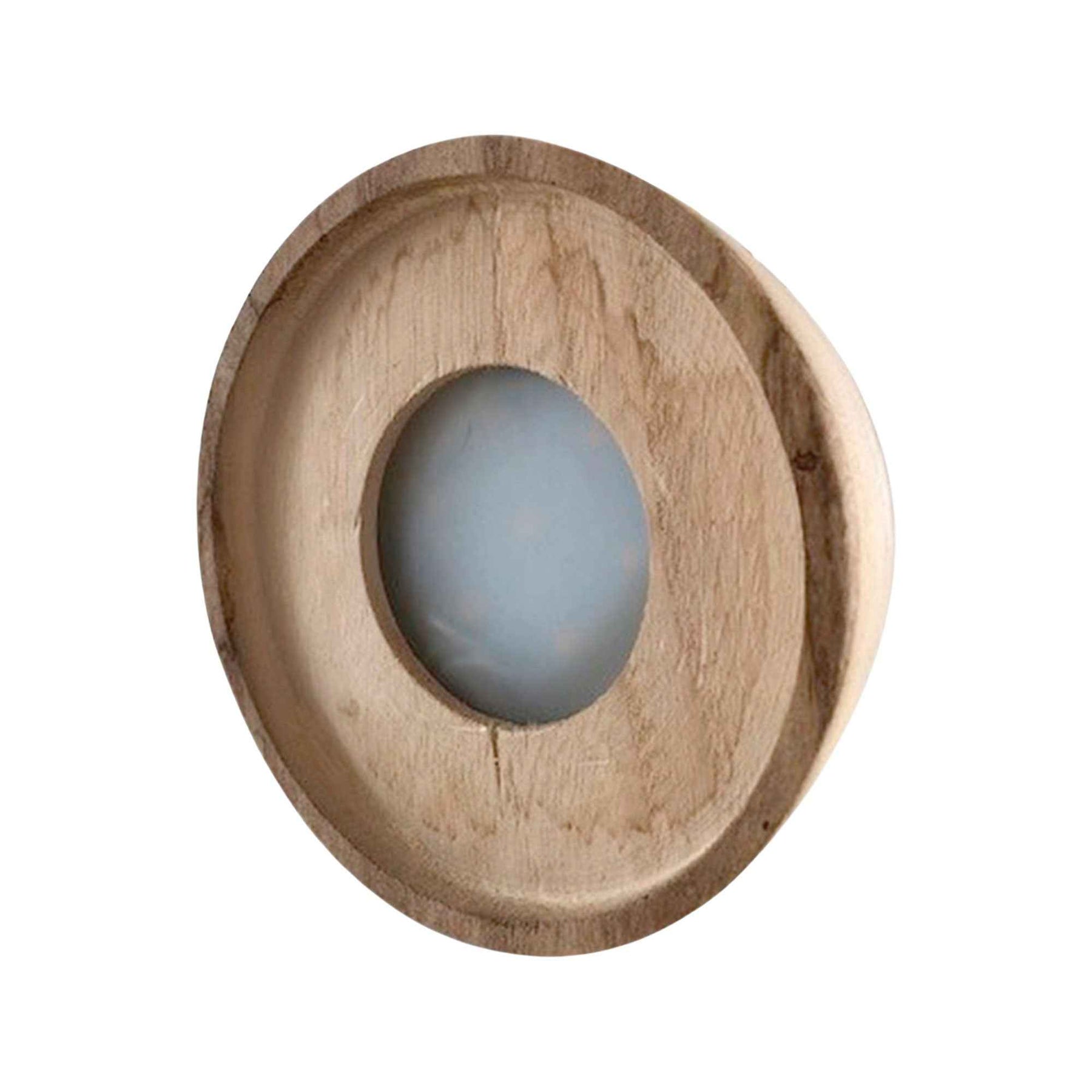 Verkauf Syngonium im Kugelglas mit LED-Beleuchtung - Hydroponik - Syngonium