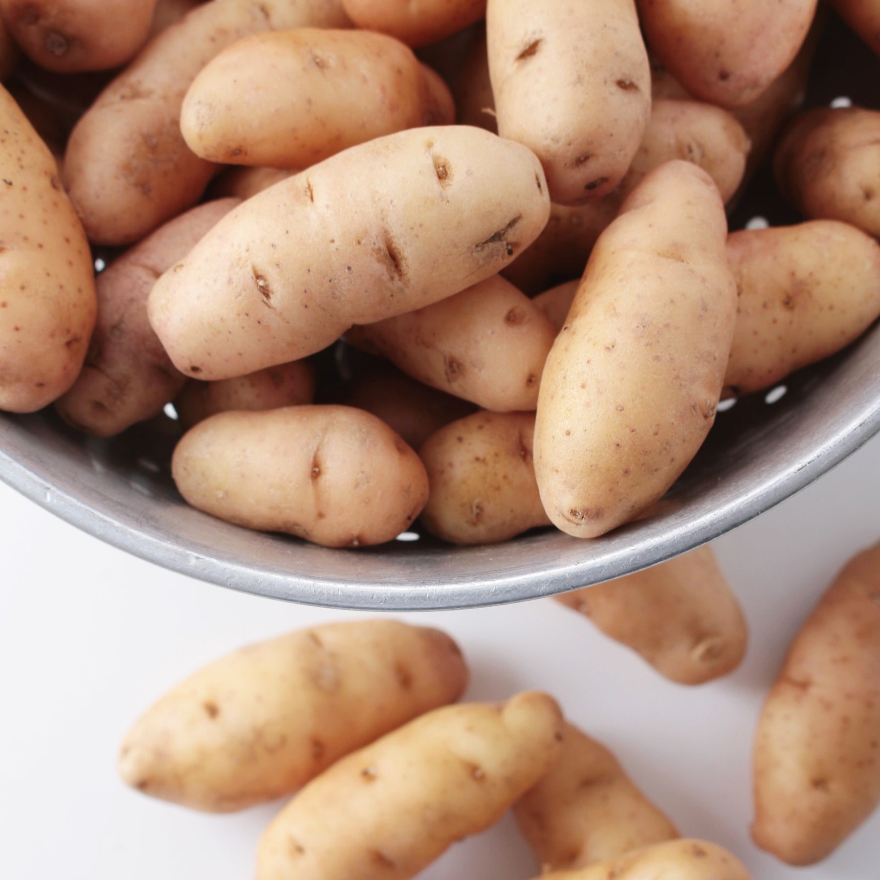 Kartoffel Horn von Gatte (Pink fir Apple) (x25) - Solanum tuberosum corne de gatte (pinkfir apple) - Willemse