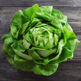 Kopfsalat Rigoletto