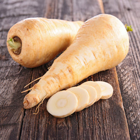 Pastinaca sativa demi-long de guernesey - Pastinake Halblange von Guernsey - Andere Gemüse-Saatgüter