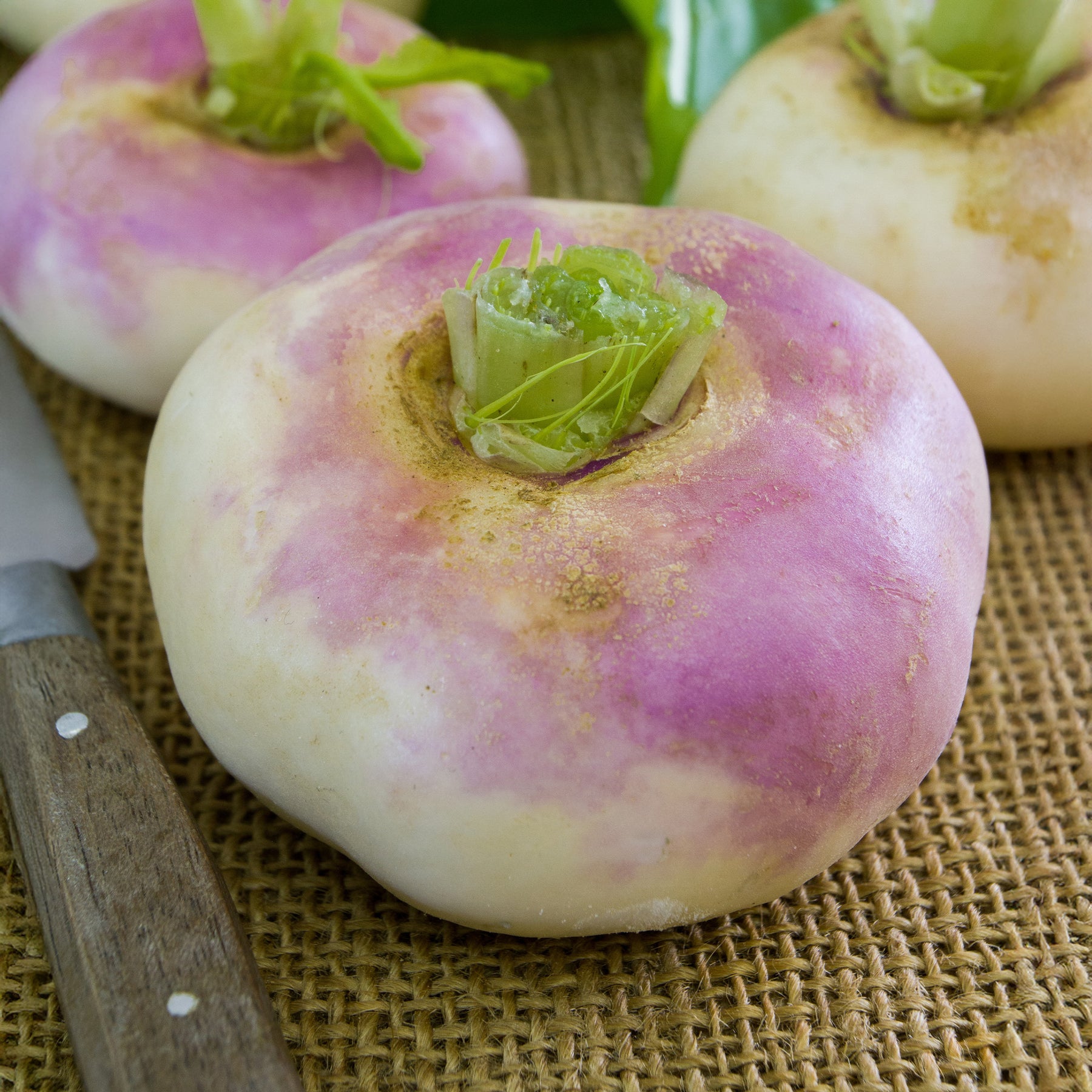 Mairübe ‘De Milan’ (rosa Hals) - Willemse